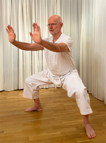 Växjö junbi undo träning